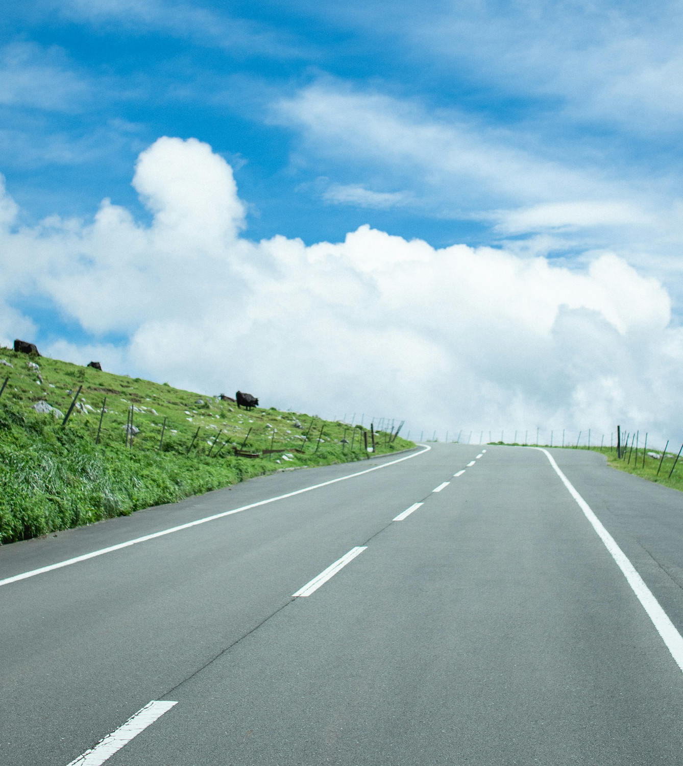 formation prevention risque routier poitiers 86